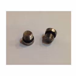 Pièces Sram Juicy Reserv Bleed Screworing Ss (x20)