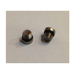Pièces Sram Juicy Reserv Bleed Screworing Ss (x20)