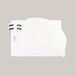 Autocollant pour jante Zipp 808