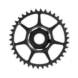 Pignon Sram X-Sync 2 16T Bosch dm