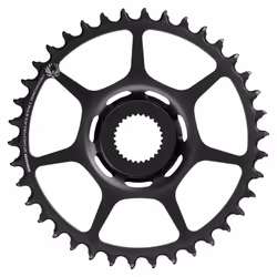 Plateau Sram X-Sync 2 Eagle 38T Bosch DM
