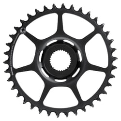 Plateau Sram X-Sync 2 Eagle 38T Bosch DM
