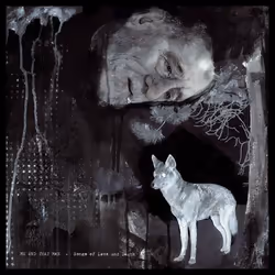 ImportCDs Songs of Love and Death, Américaine, CD, Support physique, Adulte, 1 disques, 23/03/2017