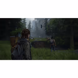 Sony The Last Of Us Part II Standard PlayStation 4 - Vue supplémentaire 18