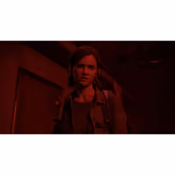 Sony The Last Of Us Part II Standard PlayStation 4