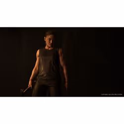 Sony Interactive Entertainment The Last of Us Part II Standard PlayStation 4 - Vue supplémentaire 13