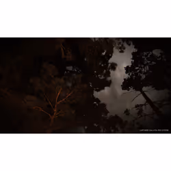 Sony Interactive Entertainment The Last of Us Part II Standard PlayStation 4 - Vue supplémentaire 15