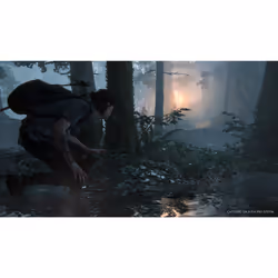 Sony Interactive Entertainment The Last of Us Part II Standard PlayStation 4 - Vue supplémentaire 20
