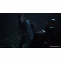 Sony Interactive Entertainment The Last of Us Part II Standard PlayStation 4 - Vue supplémentaire 25