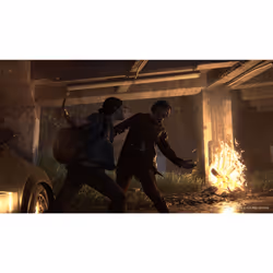 Sony Interactive Entertainment The Last of Us Part II Standard PlayStation 4 - Vue supplémentaire 26