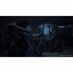 Sony Interactive Entertainment The Last of Us Part II Standard PlayStation 4 - Vue supplémentaire 27