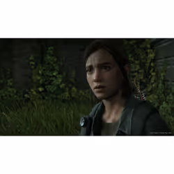 Sony Interactive Entertainment The Last of Us Part II Standard PlayStation 4 - Vue supplémentaire 40
