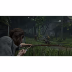 Sony Interactive Entertainment The Last of Us Part II Standard PlayStation 4 - Vue supplémentaire 42