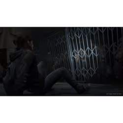 Sony Interactive Entertainment The Last of Us Part II Standard PlayStation 4 - Vue supplémentaire 46