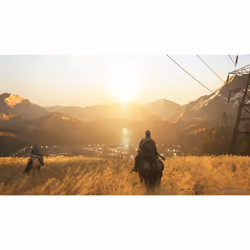 Sony Interactive Entertainment The Last of Us Part II Standard PlayStation 4 - Vue supplémentaire 51