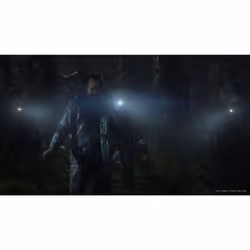 Sony Interactive Entertainment The Last of Us Part II Standard PlayStation 4 - Vue supplémentaire 52