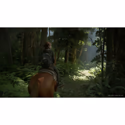 Sony Interactive Entertainment The Last of Us Part II Standard PlayStation 4 - Vue supplémentaire 53