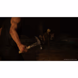Sony Interactive Entertainment The Last of Us Part II Standard PlayStation 4 - Vue supplémentaire 9