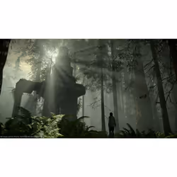Sony Interactive Entertainment Shadow of the Colossus PlayStation 4 - Vue supplémentaire 4