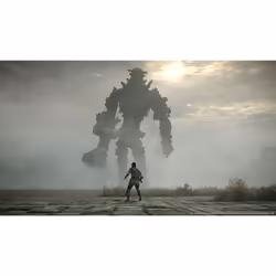 Sony Interactive Entertainment Shadow of the Colossus PlayStation 4 - Vue supplémentaire 5