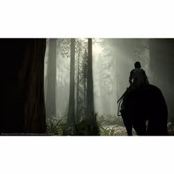 Sony Interactive Entertainment Shadow of the Colossus PlayStation 4 - Vue supplémentaire 6