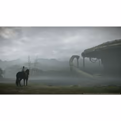 Sony Interactive Entertainment Shadow of the Colossus PlayStation 4 - Vue supplémentaire 8