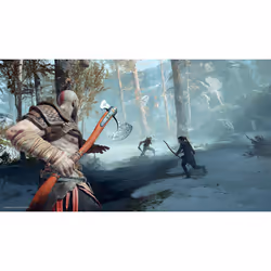 Sony Interactive Entertainment God of War Standard PlayStation 4 - Vue supplémentaire 17