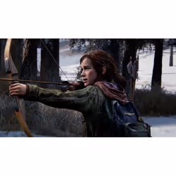 Sony Interactive Entertainment The Last of Us Parte I - Vue supplémentaire 4