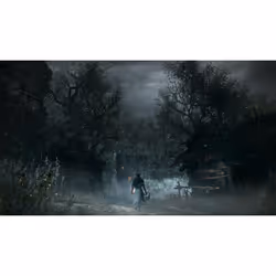 Sony Bloodborne, Playstation 4 Standard Anglais, Italien - Vue supplémentaire 17