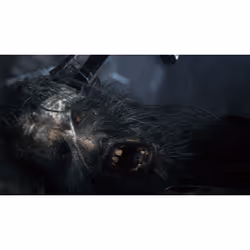 Sony Bloodborne, Playstation 4 Standard Anglais, Italien - Vue supplémentaire 30
