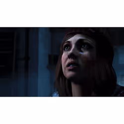 Sony Interactive Entertainment Until Dawn - PLAYSTATION HITS Reissue PlayStation 4 - Vue supplémentaire 13
