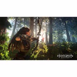 Sony Interactive Entertainment Horizon : Zero Dawn - Complete Edition - PLAYSTATION HITS Reissue PlayStation 4 - Vue supplémentaire 8