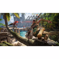 Sony Horizon: Forbidden West Standard Arabe, Espagnol, Polonais, Français, Italien, Portugais, Japonais, Russe, Allemand PlayStation 4 - Vue supplémentaire 4