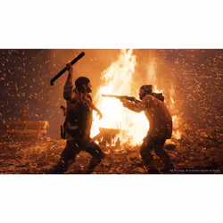 Sony Interactive Entertainment Days Gone Standard PlayStation 4 - Vue supplémentaire 15