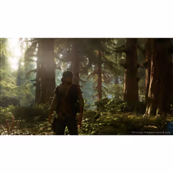Sony Interactive Entertainment Days Gone Standard PlayStation 4 - Vue supplémentaire 17