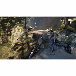 Sony Interactive Entertainment Days Gone Standard PlayStation 4