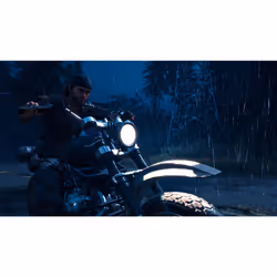 Sony Interactive Entertainment Days Gone Standard PlayStation 4 - Vue supplémentaire 27