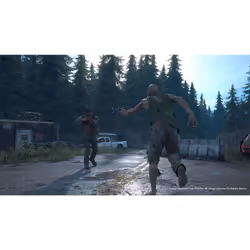 Sony Interactive Entertainment Days Gone Standard PlayStation 4 - Vue supplémentaire 30