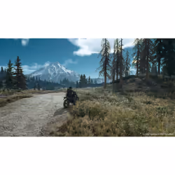 Sony Interactive Entertainment Days Gone Standard PlayStation 4 - Vue supplémentaire 36