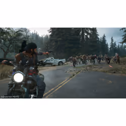 Sony Interactive Entertainment Days Gone Standard PlayStation 4 - Vue supplémentaire 39