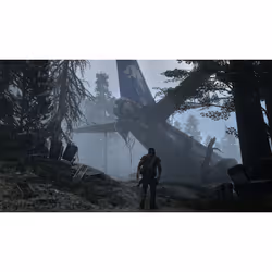 Sony Interactive Entertainment Days Gone Standard PlayStation 4 - Vue supplémentaire 4