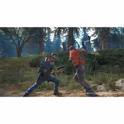 Sony Interactive Entertainment Days Gone Standard PlayStation 4 - Vue supplémentaire 42