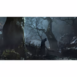 Sony Bloodborne Game of The Year Edition PlayStation 4 - Vue supplémentaire 11