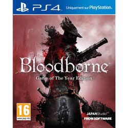 Sony Interactive Entertainment Bloodborne - Game of The Year Edition PlayStation 4