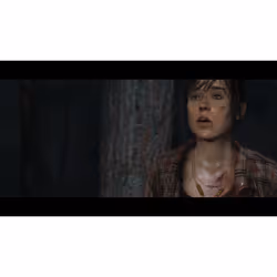 Sony The Heavy Rain & BEYOND: Two Souls Collection Collectionneurs Français PlayStation 4