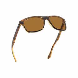 Ray-Ban RB4181 lunettes de soleil