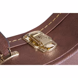 Gator Cases GW-LP-BROWN - Vue supplémentaire 9