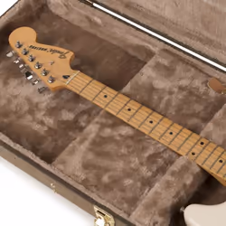 Gator Cases GW-ELECT-VIN