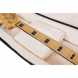 Gator Cases G-PG BASS