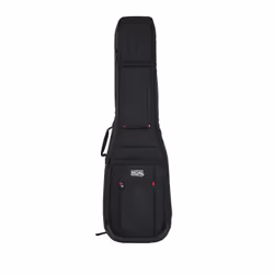 Gator Cases G-PG BASS 2X